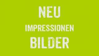 Bildergalerie Bildergalerie
